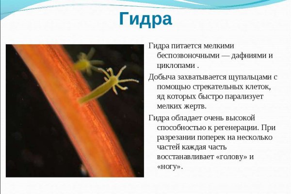 Кракен сайт официальный kraken clear com