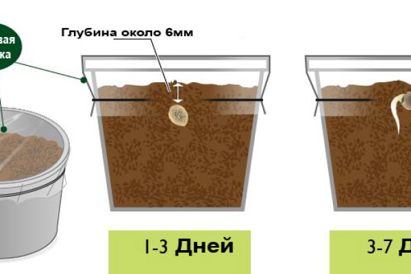 Кракена точка нет