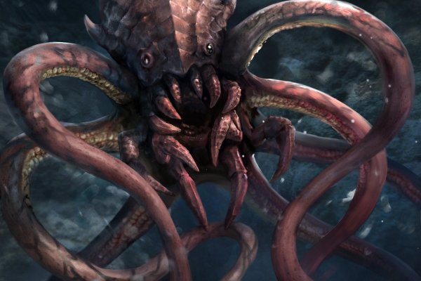 Kraken official