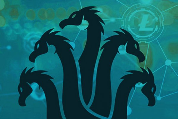 Kraken 24 at