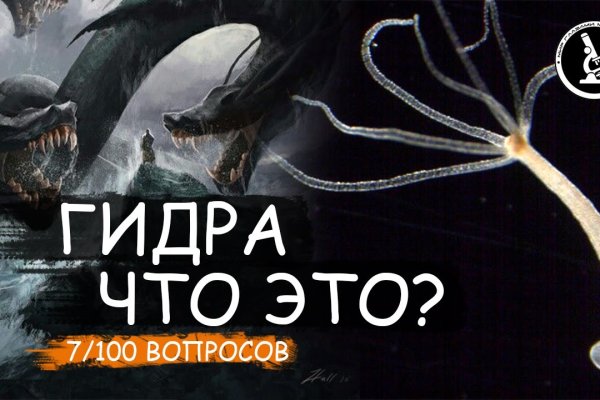 Даркнет сайт скачать
